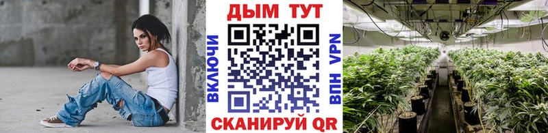 Шишки марихуана план  Купить  Яровое 